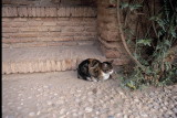 img0026.jpg