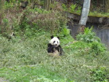 img0030.jpg