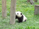 img0035.jpg