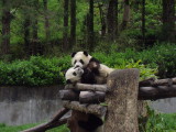 img0080.jpg