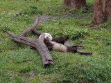 img0082.jpg