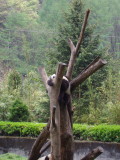 img0084.jpg