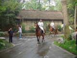 img0114.jpg